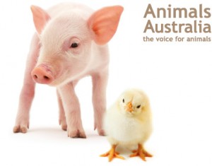 Voice Animals of Australia